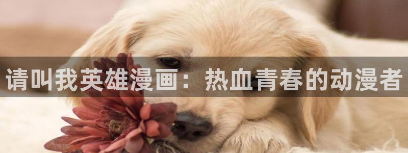 哔咔漫画群：请叫我英雄漫画：热血青春的动漫者