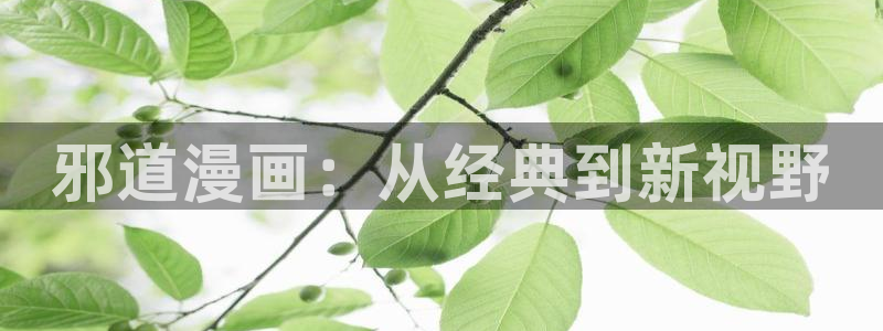 哔咔漫画免费网站：邪道漫画：从经典到新视野